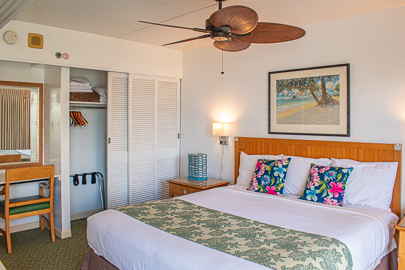 Ceiling Fan and Desk Area                         