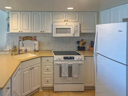 Open Kitchen with Dishwasher                      