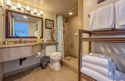 Modern Bathroom w/ Walk-in Shower