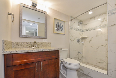 Walk-in Shower in Guest Bathroom