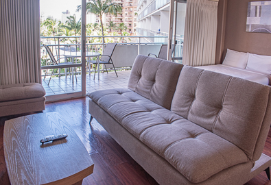 Futon Sleeper In Living Room                      