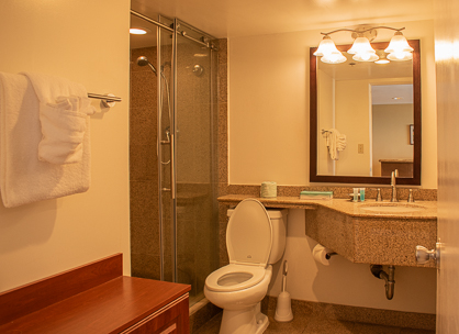 Modern Granite Bathroom